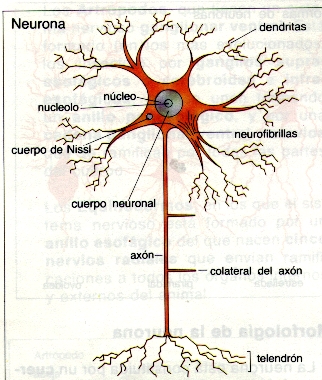 Preguntas